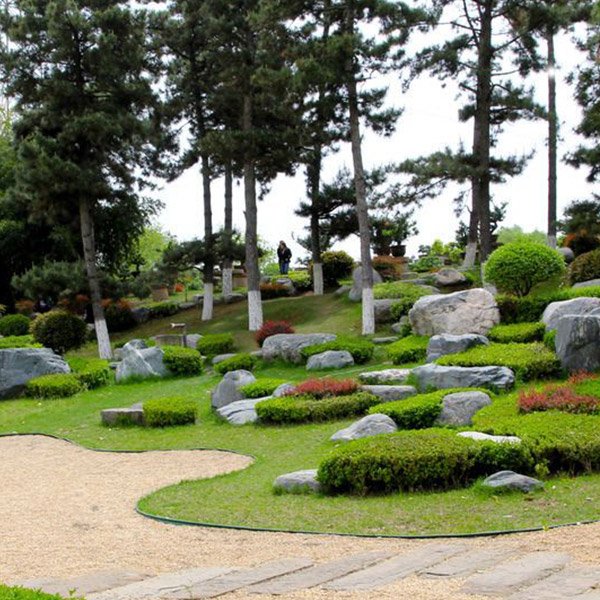 四川园林绿化工程植物种植配置标准全解析（收藏版）