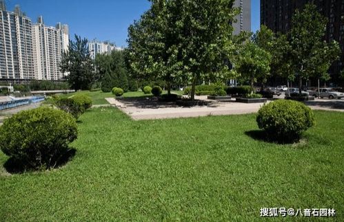 创新思维构筑园林美学 八音石助力园林绿化造景革新